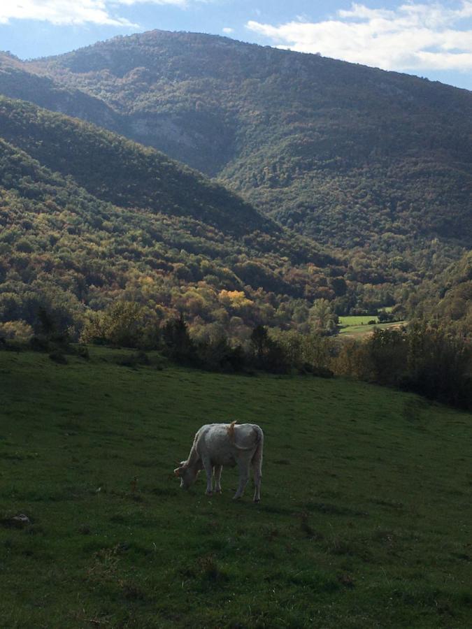 Mas Molladar Solo Adultos ξενώνας Camprodon Εξωτερικό φωτογραφία